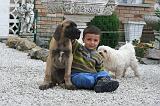 ENFANT ET CHIEN 642